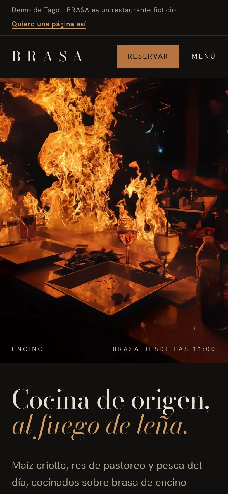 Página de BRASA en celular